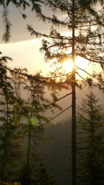 Naturhotel Ortners Eschenhof Bad Kleinkirchheim Ngoại thất bức ảnh